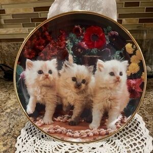 Franklin Mint Feline and Flowers Collectible Plate No. C3925 Cat Kittens Persian